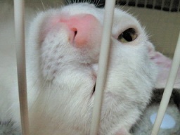 201207292145000.jpg
