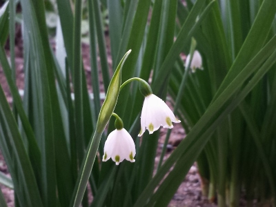 20160421_162047 (400x300).jpg