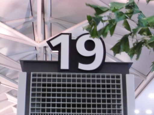 CIMG0342.JPG