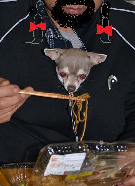DSC_0212.JPG