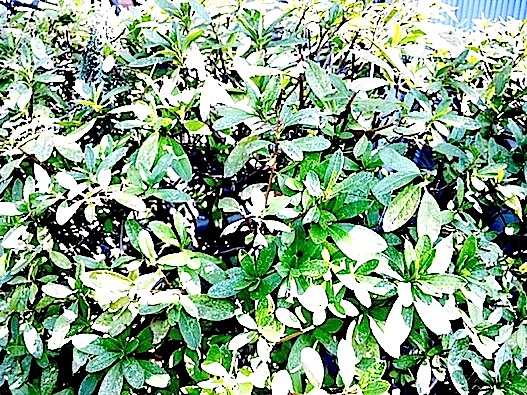 120303_132129.jpg