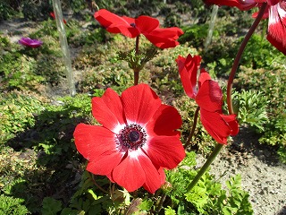 IMG_6821ss.jpg