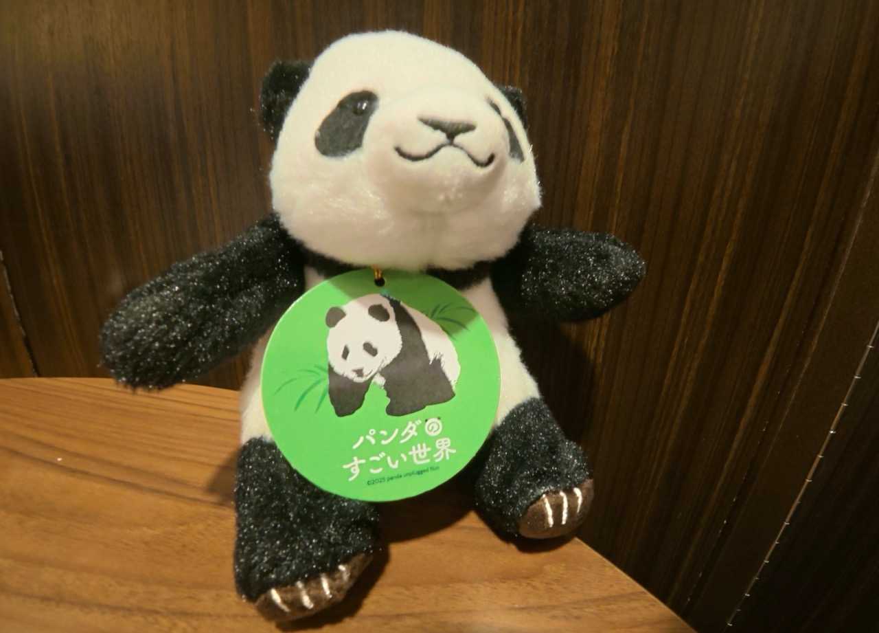映画 パンダのすごい世界で買ったのは・・・。 | イルカカメラと