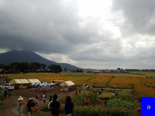IMG_20130907_113415524.jpg