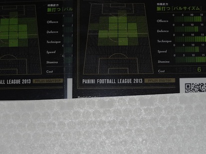 PFL_xavi3