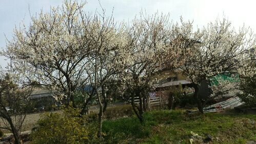 rblog-20160306114631-02.jpg