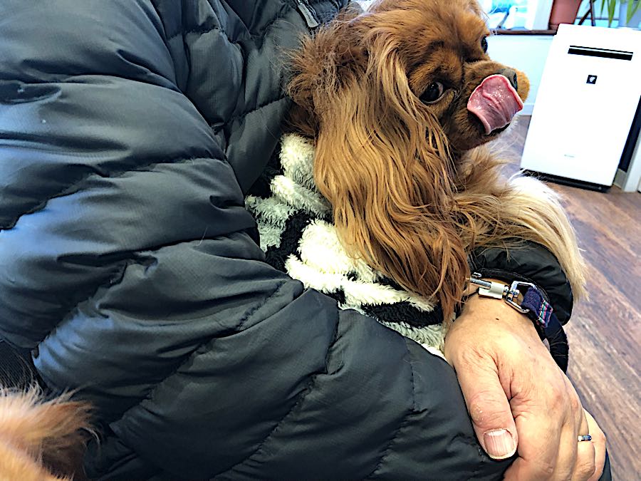 rblog-20190104100624-02.jpg