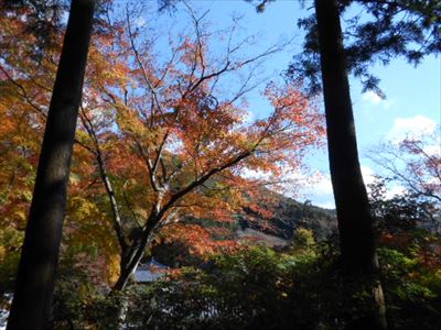 普賢寺