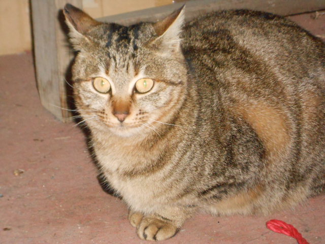 DSCN0887.JPG