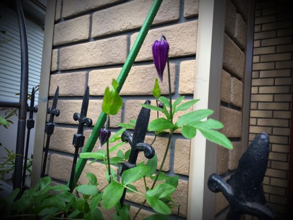 rblog-20160630184033-03.jpg