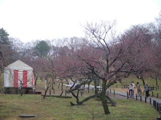 DSCN3703.JPG