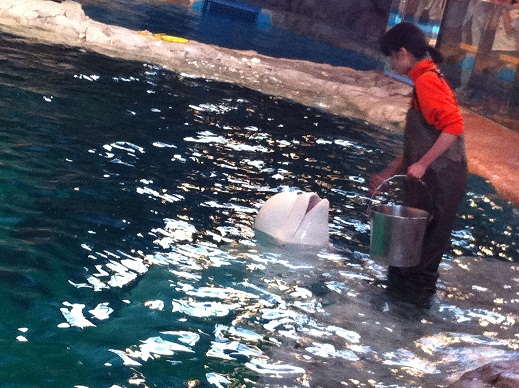 水族館　5.jpg