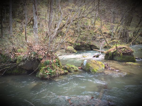 rblog-20150427165138-01.jpg