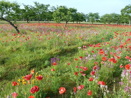 2013.5.18 020.JPG