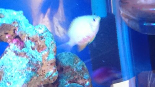 rblog-20170623163422-04.jpg