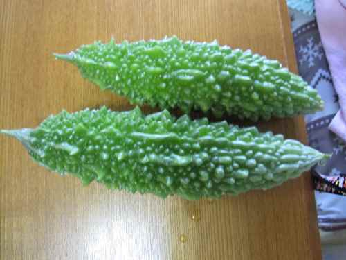 nigauri2