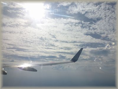 sora-4
