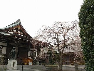金蔵寺.jpg