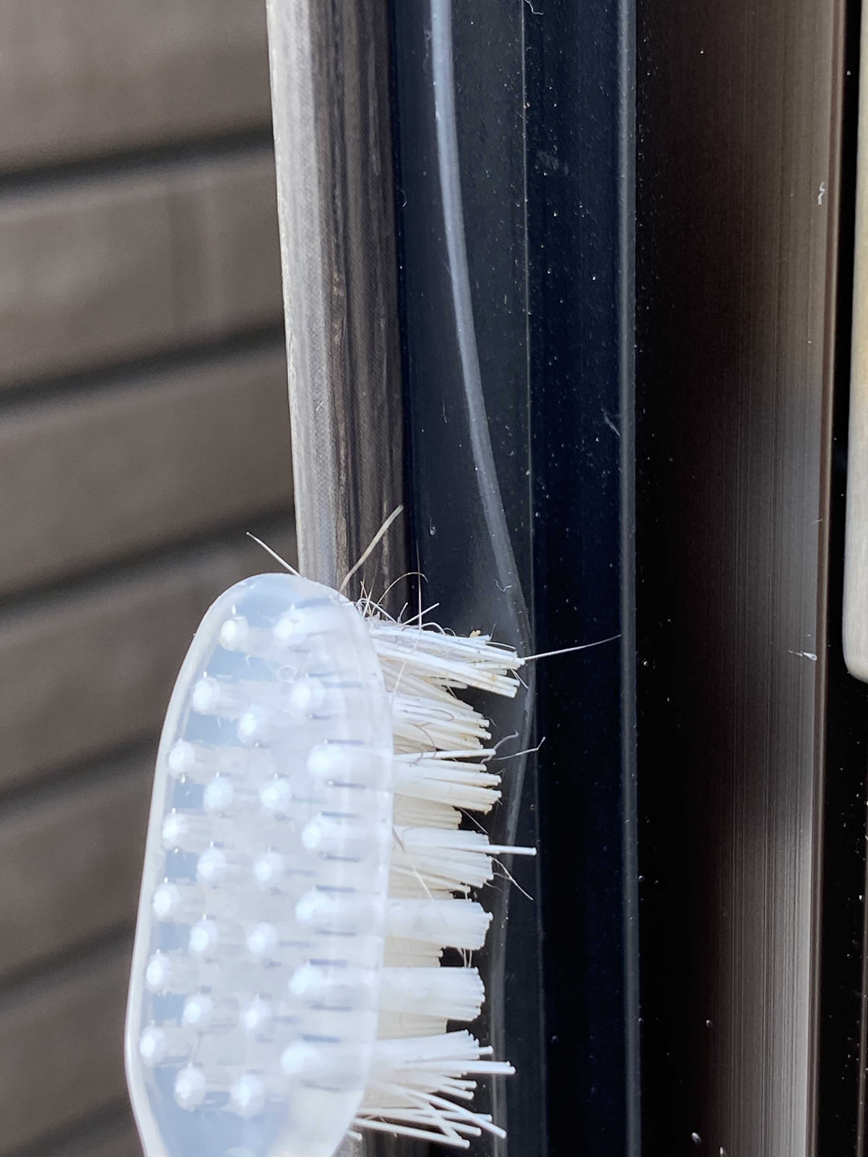 『魔法の国』 楽天ブログ