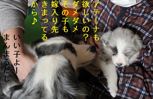 アテーナ