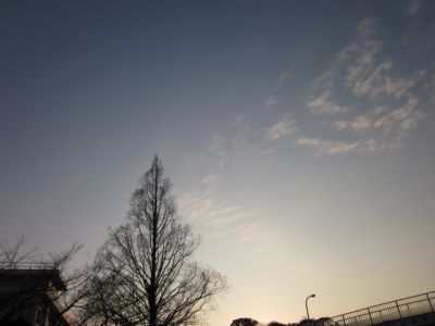 IMG_7999.JPG