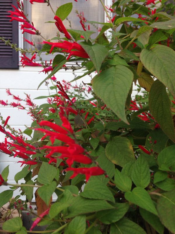 rblog-20141207010749-01.jpg