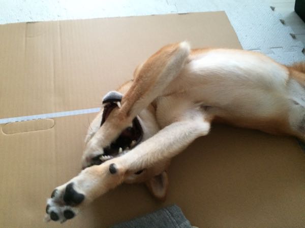 rblog-20160914102135-03.jpg