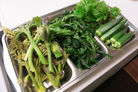IMG_0223.jpg