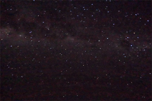 OZ813.jpg