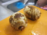 Img_0363 Img_0363