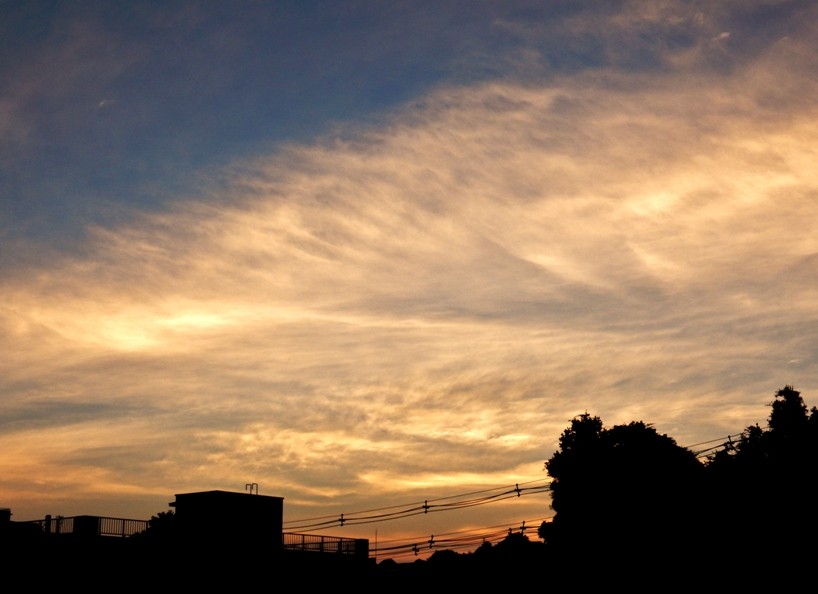 夕暮れ2.JPG