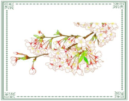 写真から作った桜のイラストが完成しました きらら 別館 一人暮らしお役立ち情報まとめ 中心 時々イラスト ブログ 楽天ブログ