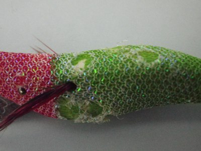 IMGP5776.JPG