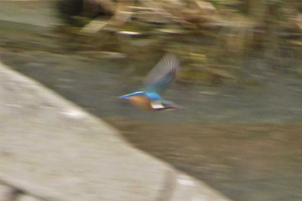 498