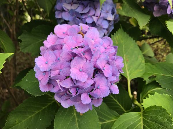 rblog-20180624181756-05.jpg