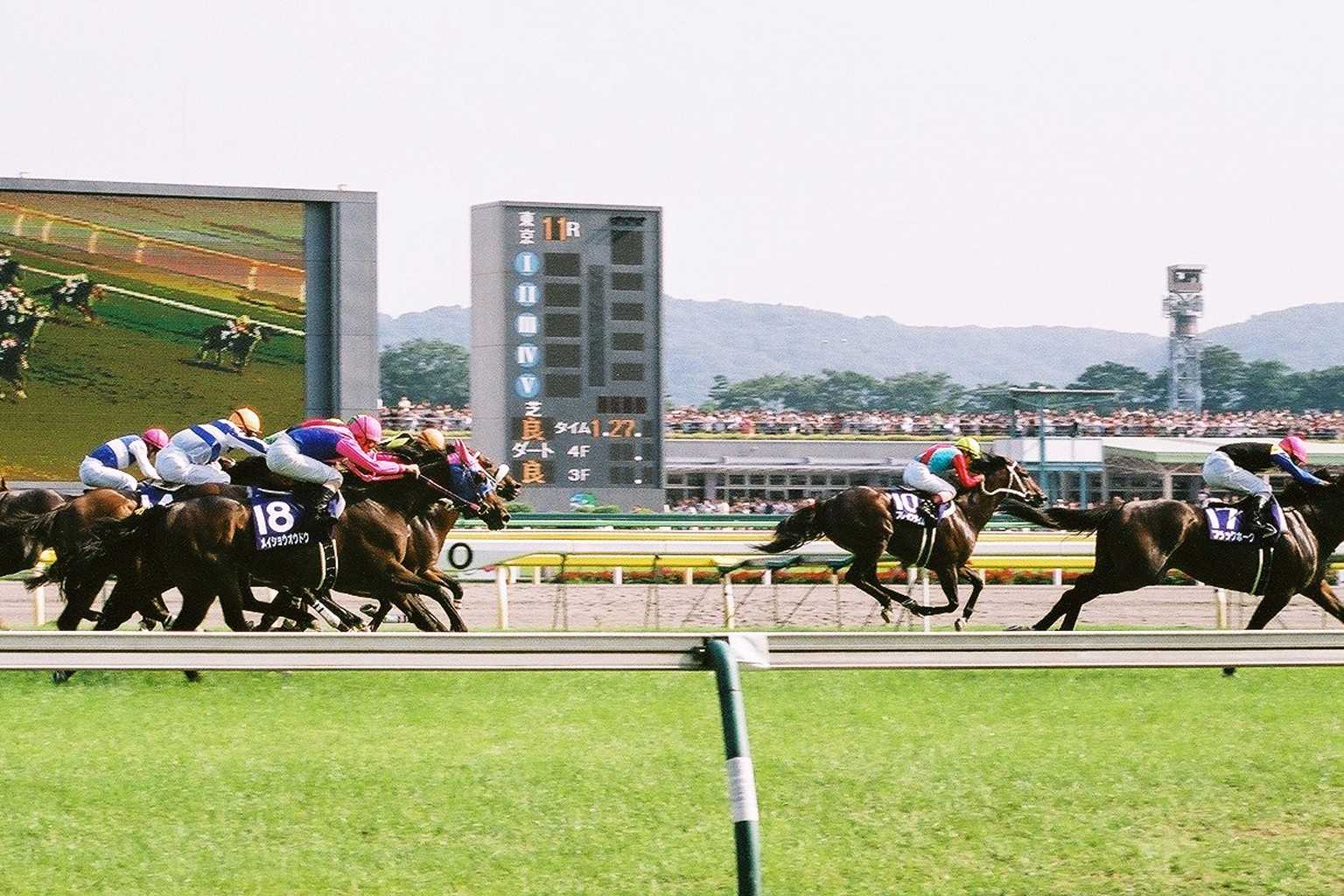 「いつかは当たる」競馬予想 「いつかは当たる」予想屋正和・ダイユウサクと一緒に 楽天ブログ