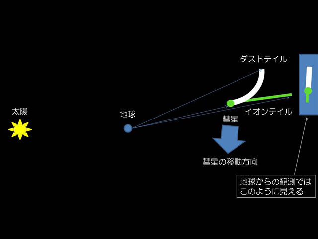 アンチテイル説明