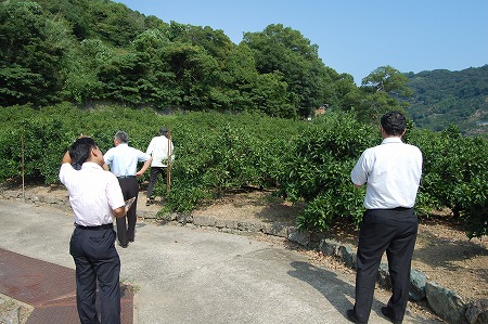 s-DSC_0795.jpg
