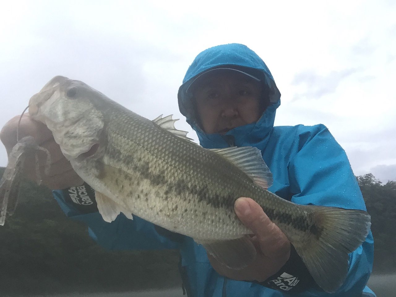 大雨の相模湖バス釣り 釣れた 相模黒鱒釣行記 楽天ブログ