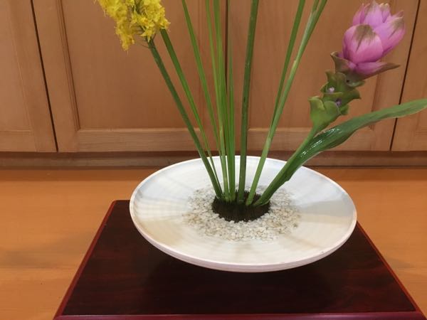 rblog-20170621092232-00.jpg