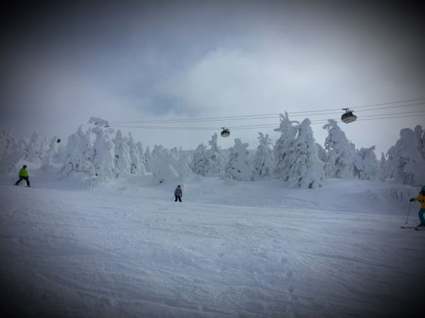 rblog-20160123124721-01.jpg
