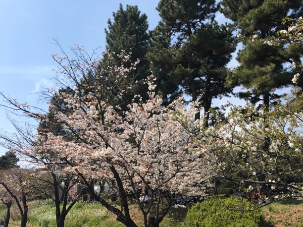 rblog-20170405192540-00.jpg