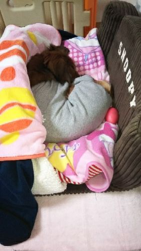 rblog-20180305141032-00.jpg