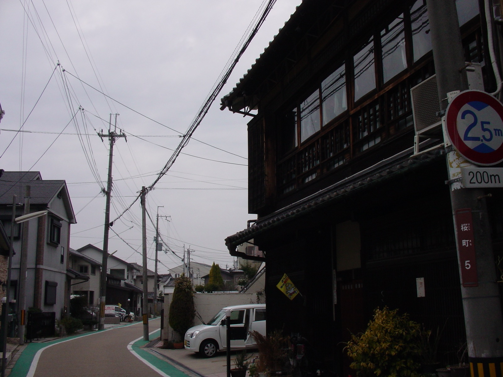 DSC03875.JPG