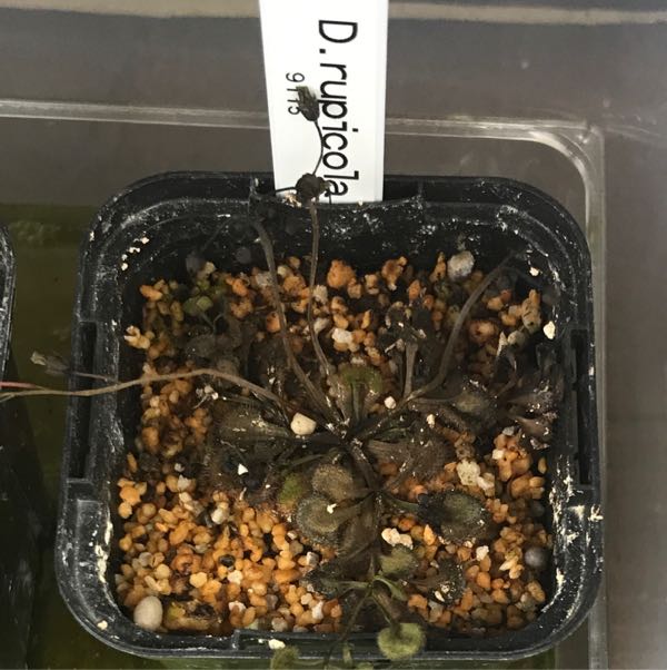rblog-20180417020320-02.jpg