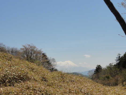 遠くに富士山が.jpg