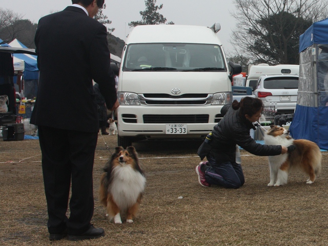 IMG_0803 - コピー.JPG