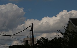 IMG_7528-7.jpg