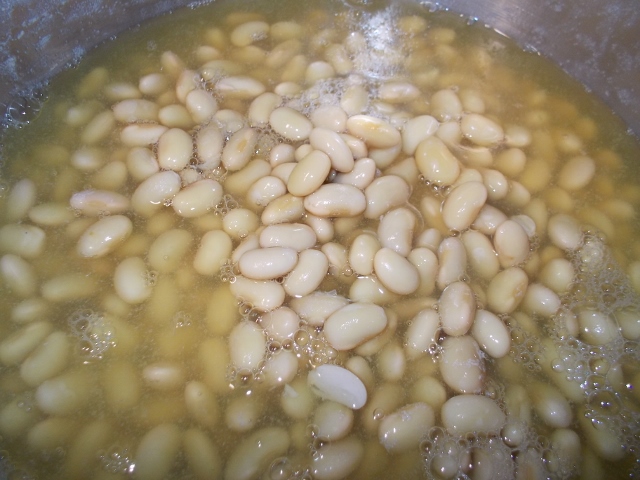 DSCN1260 (640x480).jpg