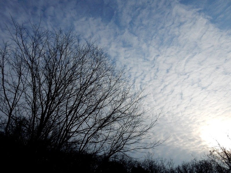空の表情